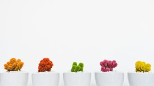 コンテンツに使う色は4色までにおさえる